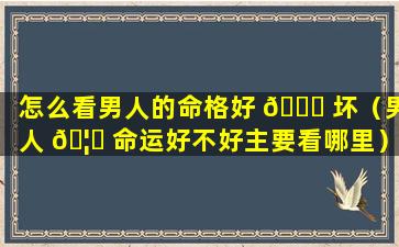 怎么看男人的命格好 🍁 坏（男人 🦟 命运好不好主要看哪里）